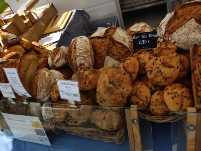 IMG_20250905_154611 (1)